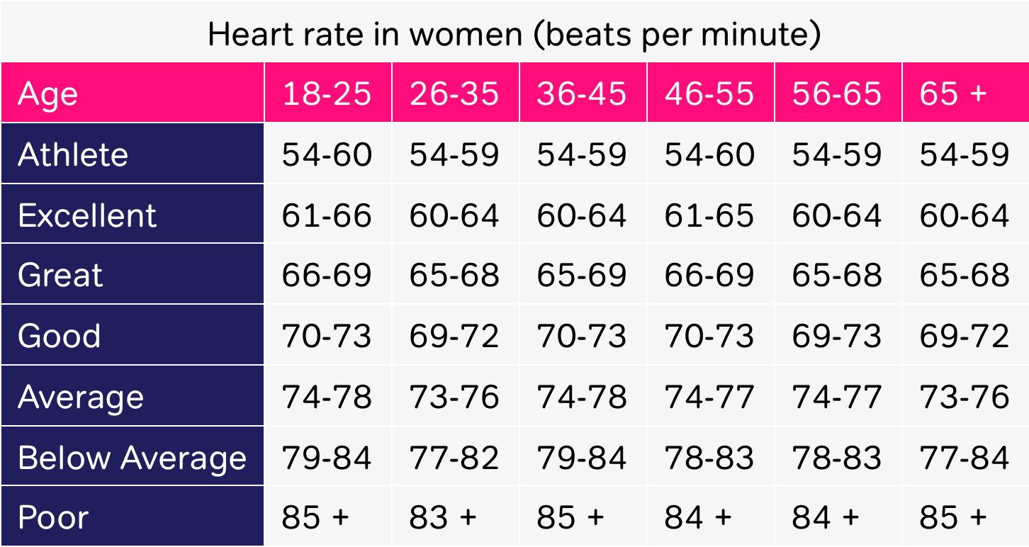 regular heartbeat for adults